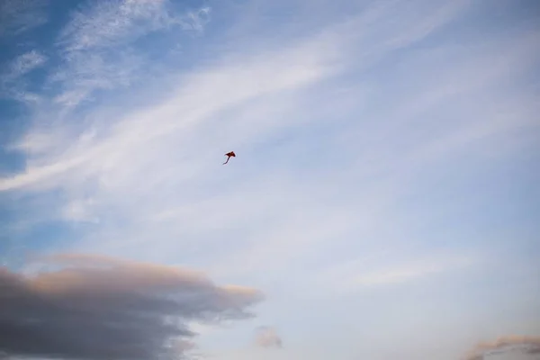 空を飛ぶ凧 スロバキア — ストック写真
