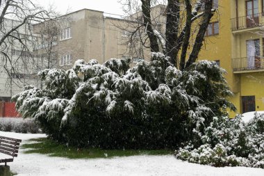 Slovakya 'da kış parkı gündüz çekimleri