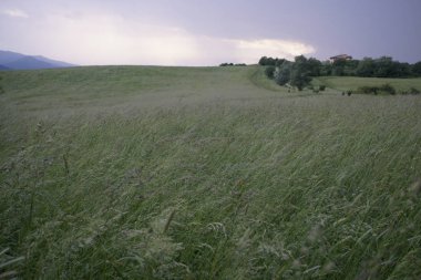 Renkli bulutlarla gün batımı ve gün doğumu. Slovakya
