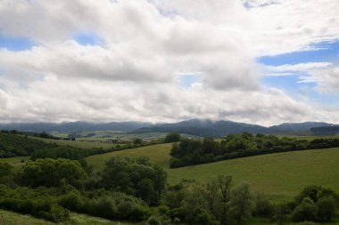 Yeşil dağ çayırı manzarası