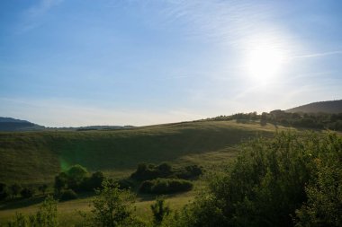 Yeşil dağ çayırı manzarası