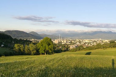 Mavi gökyüzü ile dağlarda çayır 