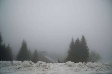 Kış boyunca kar altında doğa. Slovakya