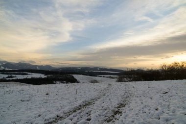 Kış boyunca kar altında doğa. Slovakya