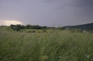 Renkli bulutlarla gün batımı ve gün doğumu. Slovakya