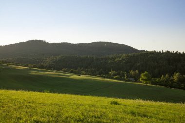 Mavi gökyüzü ile dağlarda çayır 