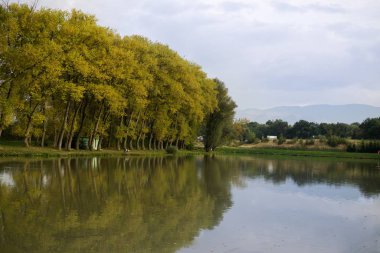 Büyük nehir günü vuruşu