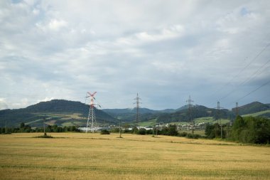 Ağaçlar ve manzaralı çayırda puslu bir sabah. Slovakya