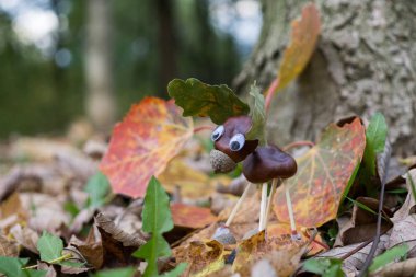 Kestaneden yapılmış komik şekilli karakter ya da biblo 