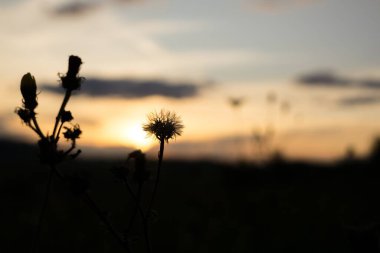 Bulutlarda gün batımının görüntüsü