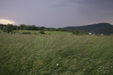 Renkli bulutlarla gün batımı ve gün doğumu. Slovakya