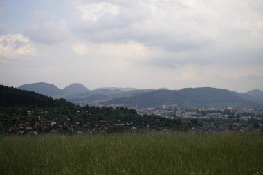 Çayırdaki güzel çim. Slovakya