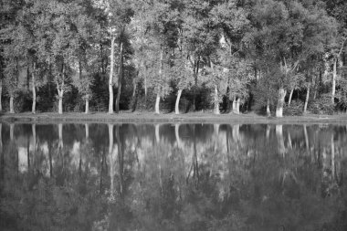 Büyük nehir günü vuruşu