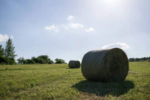 Szénabálák Réten Ősszel Szlovákia — Stock Fotó