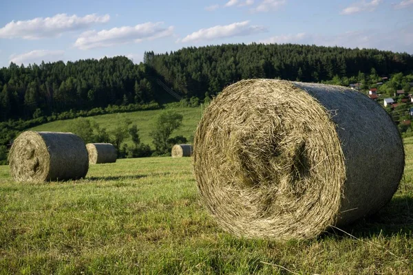 Szénabálák Réten Ősszel Szlovákia — Stock Fotó