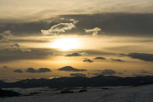 Nature Sous Neige Hiver Slovaquie — Photo