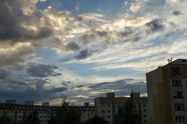 Alba Tramonto Edifici Nella Città Zilina Slovacchia — Foto Stock