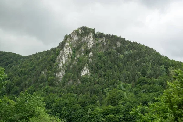 Horská Krajina Zelenými Stromy Horami — Stock fotografie