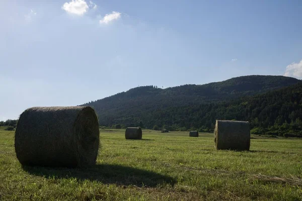 Hay Μπάλες Στο Λιβάδι Κατά Διάρκεια Του Φθινοπώρου Σλοβακία — Φωτογραφία Αρχείου