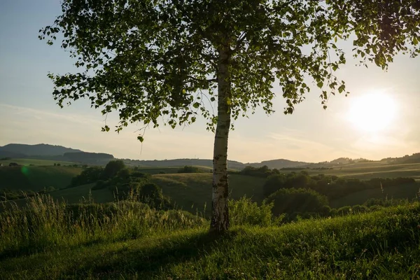 Green Mountain Meadow Landscape — Stock Photo, Image