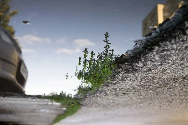 雨の中 道路上の水たまり スロバキア — ストック写真