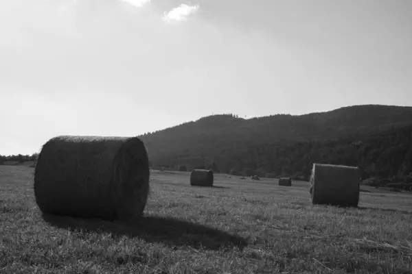 Balle Fieno Sul Prato Durante Autunno Slovacchia — Foto Stock