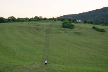 Çimlerin üzerinde yürüyen insanların hava görüntüsü.