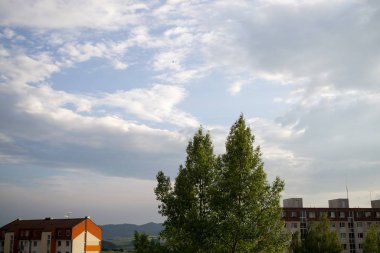 Arkasında binalar olan şehir manzarası