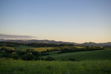 Mavi gökyüzü ile dağlarda çayır 