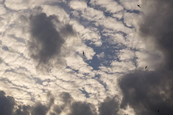 Blå Himmel Med Moln Dag Tid Skjuten — Stockfoto