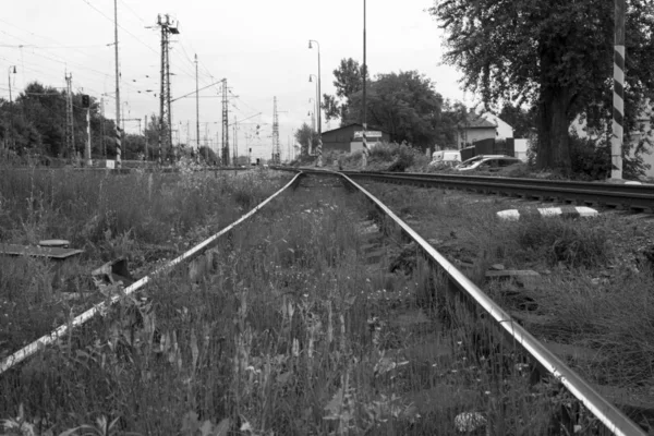線路上の列車の線路は — ストック写真