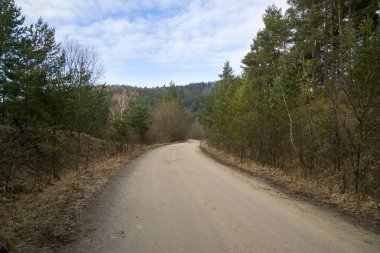 Bahar Ormanı 'ndan. Gündüz çekimi