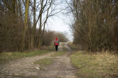 Bahar ormanlarında yolda yürüyen bir adam. Gündüz çekimi