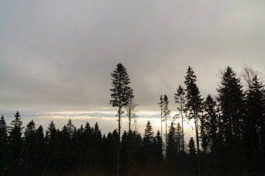 Grey clouds over mountains landscape  