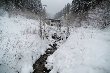 Doğa kış boyunca karla kaplıdır.. 