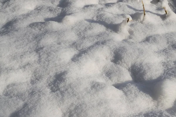 Natuur Onder Sneeuw Tijdens Winter Slowakije — Stockfoto