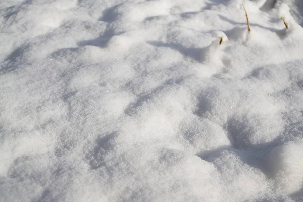 Natura Pod Śniegiem Zimą Słowacja — Zdjęcie stockowe