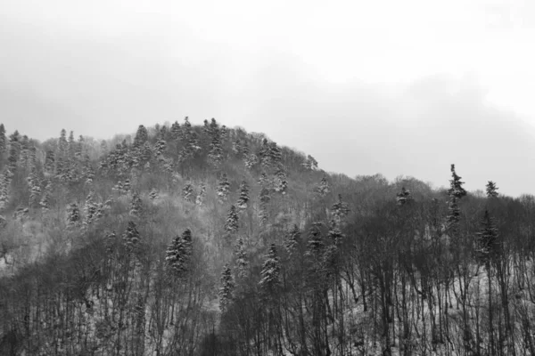 Φύση Κάτω Από Χιόνι Χειμώνα Σλοβακία — Φωτογραφία Αρχείου