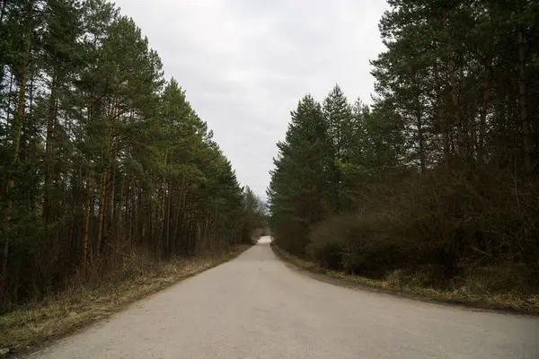 Droga Przez Las Dzień Strzał — Zdjęcie stockowe