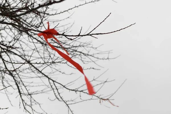 Ramos Árvore Nua Com Fita Vermelha Céu Nublado — Fotografia de Stock