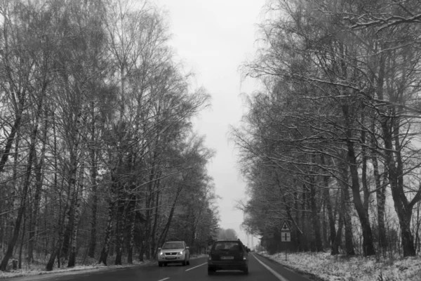 Natura Sotto Neve Durante Inverno Slovacchia — Foto Stock