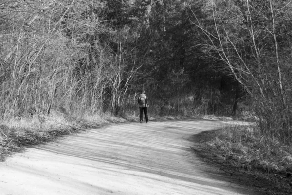 Homme Marchant Sur Route Travers Forêt Printanière Jour Coup Temps — Photo