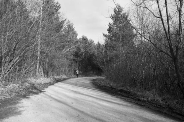 Mann Läuft Auf Straße Durch Frühlingswald Tagesschuss — Stockfoto