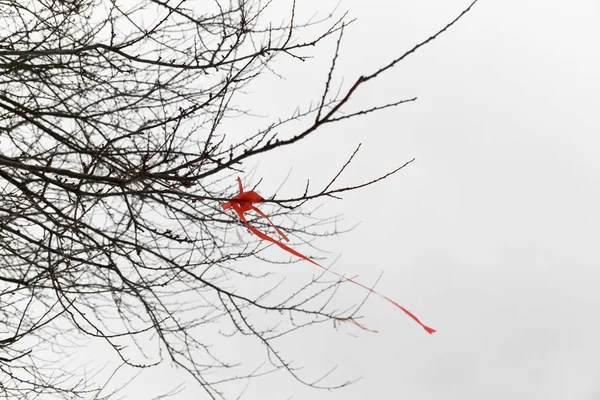 Bare Tree Branches Red Ribbon Cloudy Sky — Stock Photo, Image