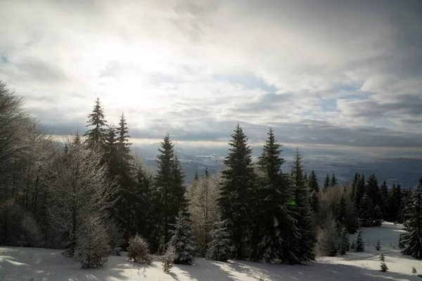 Natureza Sob Neve Durante Inverno Eslováquia — Fotografia de Stock