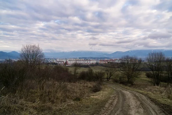 Árvores Caminhos Floresta Eslováquia — Fotografia de Stock