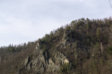 Ormanda sihirli ağaçlar ve yollar. Slovakya