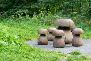 Ormandaki turist kampı. Gündüz çekimi