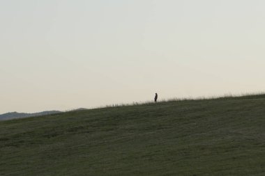 Tepedeki insan silueti, ön planda çimen çimenliği.