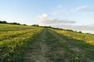 Kırsal alanda tarım alanı